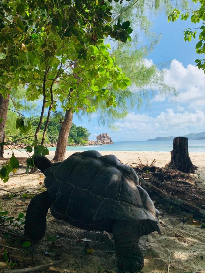O'Soleil Chalets Self Catering Insel Insel La Digue Exterior foto