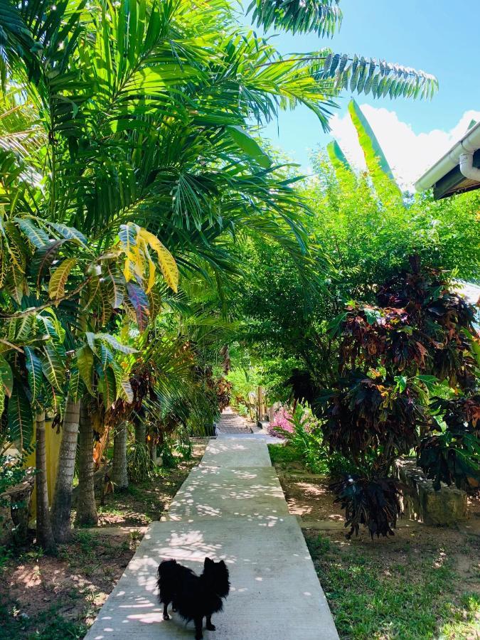 O'Soleil Chalets Self Catering Insel Insel La Digue Exterior foto