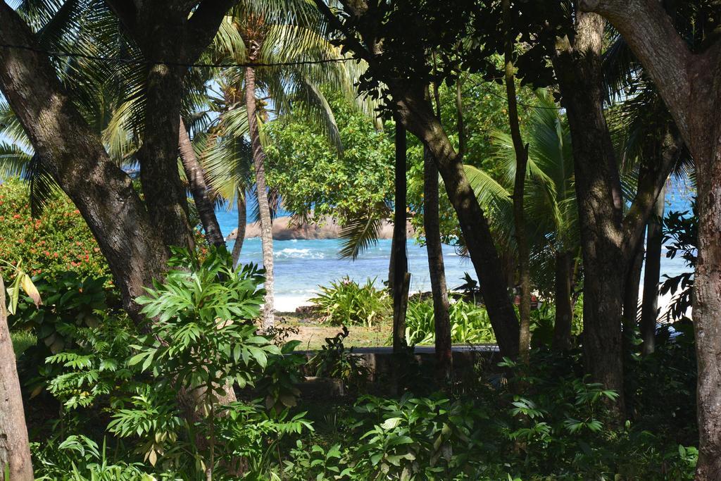 O'Soleil Chalets Self Catering Insel Insel La Digue Zimmer foto